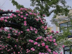 -廊坊文化艺术中心