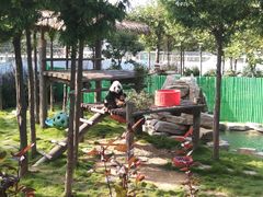 -西霞口神雕山野生动物世界