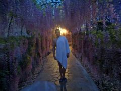 -郑州银基黄帝宫御温泉