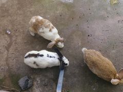 -西部长青自然儿童乐园