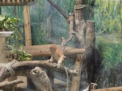 -广州长隆野生动物世界