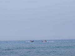 -西涌国际滨海旅游区