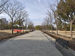 -新江湾城公园