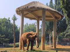 -石家庄市动物园