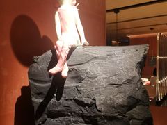 -初蓉丨遇见新川菜(亲贤街荣耀店)