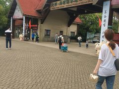 -上海海湾国家森林公园