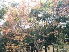 -徐家汇源景区-衡山公园