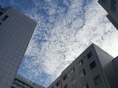 -中国人民解放军总医院(301医院)