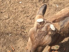 -赛汗塔拉风情园