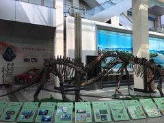 -吉林市博物馆