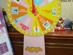 -宠爱国际动物医院· 猫科· 外科·中兽医(长白店)