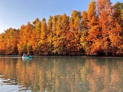 -上海海湾国家森林公园