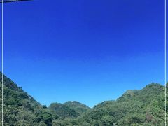 -黔灵山公园