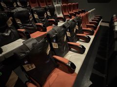 -星河寰宇IMAX影城(星河WORLD·COCO Park店)