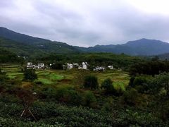 -塔川景区