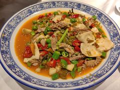 -新蜀会四川豆花(五羊店)