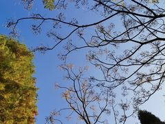 -洛阳市隋唐城遗址植物园
