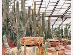 -南通洲际绿博园