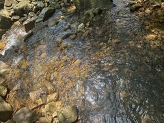 -姑婆山旅游区