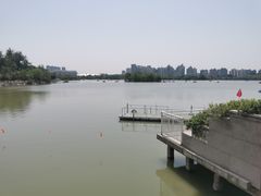 -天津水上公园