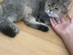 -小小班私人影院·猫咖(万达茂广场店)