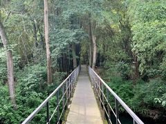 -鹿野苑石刻艺术博物馆