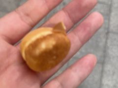 -飞记(晓港西马路商业街店)