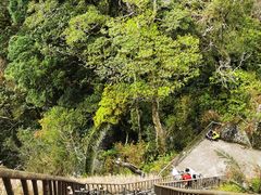 -七仙岭温泉国家森林公园