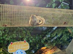 -昆明大悦城未来动物城(螺蛳湾中心店)