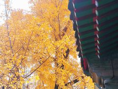 -承恩寺