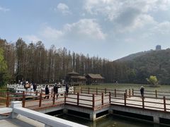 -采石矶景区