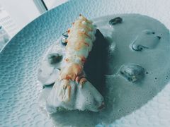 -翡翠36餐厅(浦东香格里拉店)