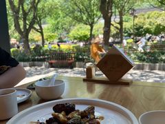 -枣子树·素食餐厅(普陀山店)