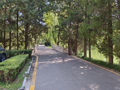 -北京动物园-畅观楼