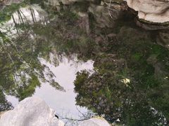 -趵突泉景区