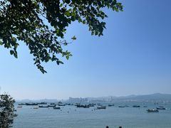 -海源公园