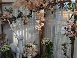 -谛融婚礼酒店·宴会厅(花园店)