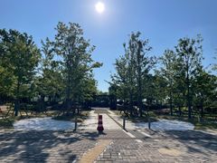 -春花秋色城市公园