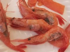 -瑞安辰茂阳光酒店自助餐