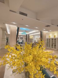 -皇家月府月子中心(沈阳店)