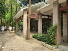-火炉山森林公园
