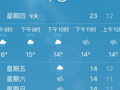 -薛文保黄米糕