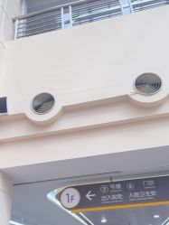 -上海交通大学医学院附属上海儿童医学中心(陆家嘴总院区)