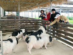 -上海多利农业发展有限公司