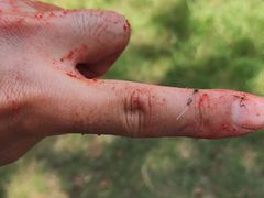 -蓝天路(地铁站)