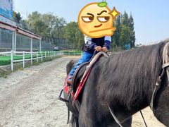 -大连凯洋马术俱乐部有限公司
