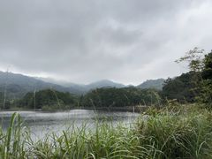 -海南热带雨林国家公园吊罗山景区