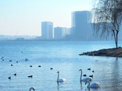 -北龙湖湿地公园