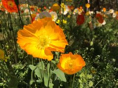 -名花谷生态庄园