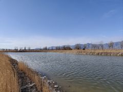 -野鸭湖国家湿地公园